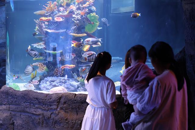 大型演唱会赋能 影视热化为旅游热 ——襄阳文旅融合绘就发展上行线