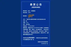 卡皮巴拉集体越狱！“豆包”仍在逃，“霸总”“躲躲”已被捕，扬州一景区悬赏图片