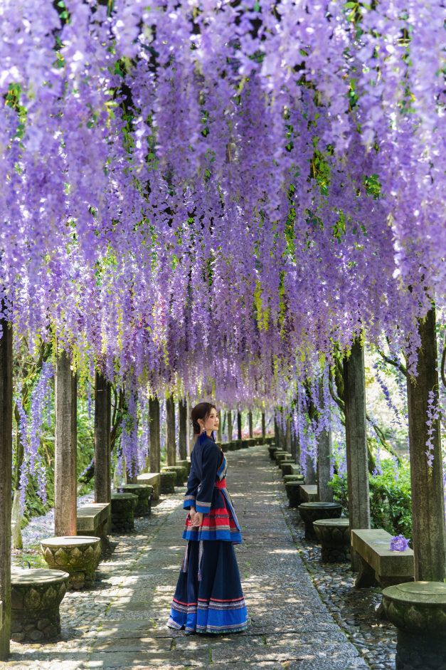 别辜负春天！4月宁德1景区进入颜值巅峰！快来赏花~