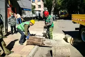 黑龙江佳木斯：绘就政协为民服务同心圆图片