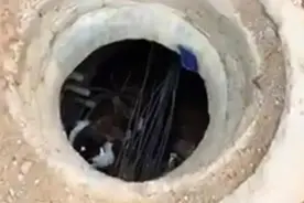 甘肃“女孩掉井父亲阻拦施救先拍照”，知情人：估计是担心责任划分或造成二次伤害，多方回应图片