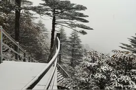 下雪啦！云南多地迎降雪，前往这些方向注意→图片