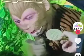 趴着上班只负责吃，这只“猴”凭啥火出圈？图片