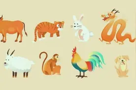 “我到底属啥？”这事儿竟有国家标准！图片