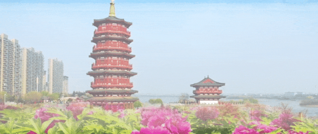 【文化瀍河】白马寺：见证丝路千年的文明对话