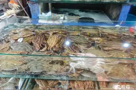 青岛人爱吃的这种海鲜，即将“退市”！曾卖出每斤180元的高价……图片