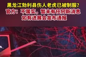 纵览热点｜黑龙江勃利县伤人老虎已被制服？官方：不属实，如有进展会发布通报图片