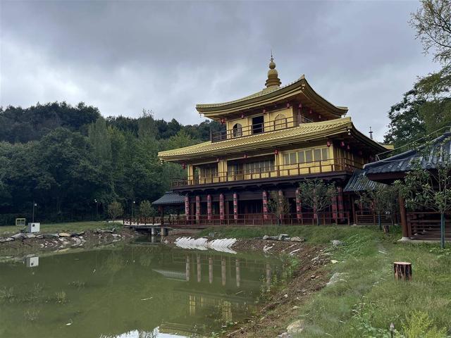 从“一季热”到“四季火”！32个文旅品牌入驻千年银杏谷