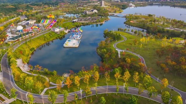 镜鉴｜定格美丽重庆：湿地公园 秋色宜人