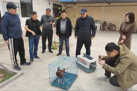 爱心救助野生动物，共筑和谐生态家园图片