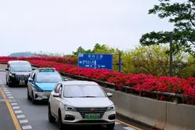 幸福繁花 | 华富春行录：在都市绿洲遇见诗意生活图片