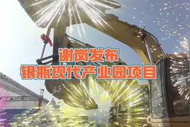 高品质产业空间！东莞谢岗银瓶现代产业园全新发布图片