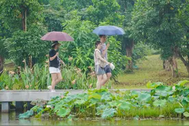 晚读 | 留给月亮的时间不多了图片