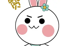 在永川取景的电影《熊猫计划》获首届亚洲国际电影节金鹮奖最受欢迎动作喜剧影片奖图片