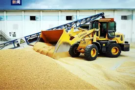 14978万吨！2024年全国夏粮获得丰收图片