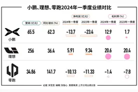 “新势力”不安分的一季报：理想减速零跑承压小鹏翻身，还剩蔚来战战兢兢图片