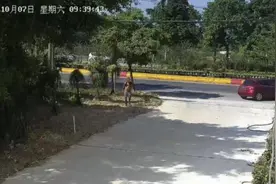 流浪6年，拾荒男子终于回家！图片