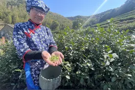 探访宁波北仑春晓街道：“绿水青山”如何变成“金山银山”？图片