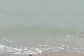 拦车哥、跳水哥、夺刀侠……快来点赞清远“活雷锋”图片