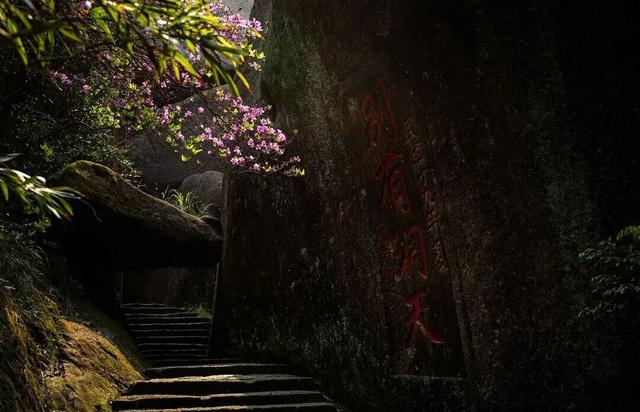 别辜负春天！4月宁德1景区进入颜值巅峰！快来赏花~