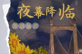 福州夜晚的向日葵花海你见过吗？图片
