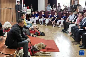 申请导盲犬，要不要邻居同意？ | 新京报快评图片