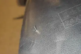 男子称骑共享电车被暗针扎伤！多方回应！图片