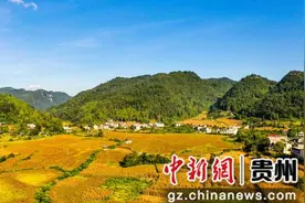 贵州沿河：高粱红满天 机械收割忙图片