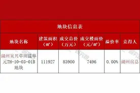 湖州房总地产集团底价竞得湖州吴兴宅地图片