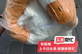 京东一网店太离谱！2799元出售电动车，发给用户却是大白鹅玩偶，迅速闭店玩消失图片