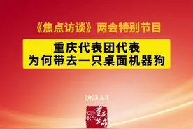 “重庆造”机器狗亮相2025全国两会，它为啥这么“灵”？图片