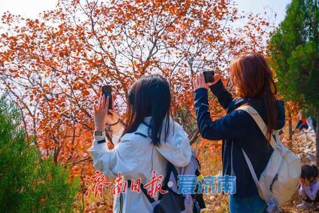 一年四季 泉在济南丨济南蝎子山秋色“美出圈”！半山红妆半山青翠，独特“鸳鸯火锅”景观引客来