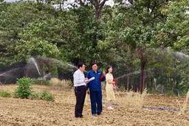 禹州市文殊镇：造墒抢种争农时图片