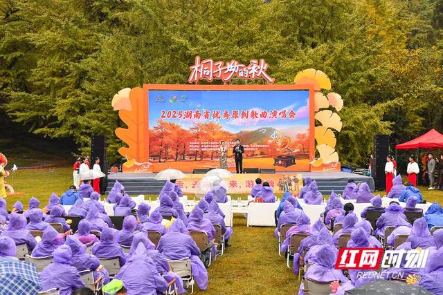 银杏树下开唱、足球场外快闪 桐子坳的秋为何让人们着迷？