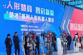 湖北人形机器人组团“开工”图片