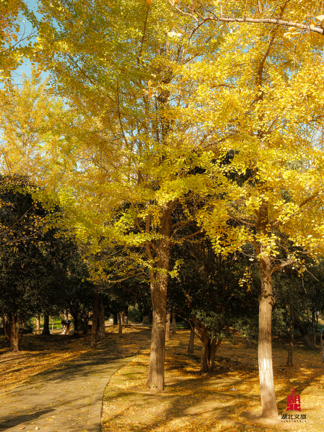 寒潮倒计时！再不来就迟了