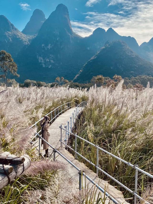 七星区朝阳乡浪漫秋景引客来