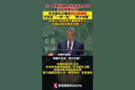 王毅在联合国强调台湾必将回归祖国怀抱图片