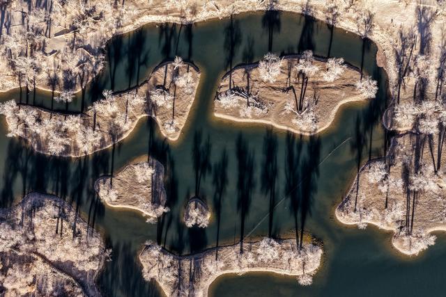 美丽中国丨额济纳：晚秋胡杨美