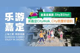 上海荷花睡莲展进入倒计时，满塘荷莲魅力不减！图片