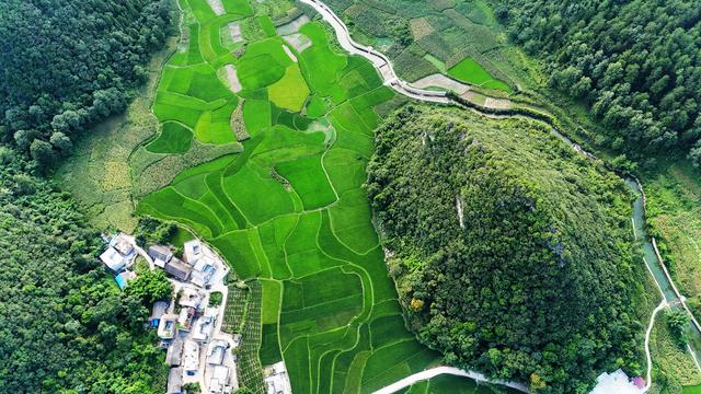 惠水：秋色渐浓风光美