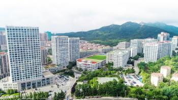 发力AI+构建闭环生态！青岛市南打造人工智能产用融合新高地