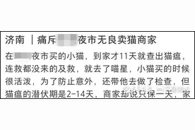 萌宠买回家活不过一周！谁来管管“星期猫狗”？记者暗访济南夜市图片