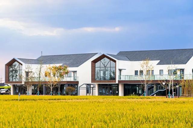 骑行天花板！这条5.6km治愈路线，串联森林与田园风光