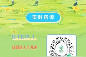 广东12355小程序升级上线！全年无休提供公益服务图片