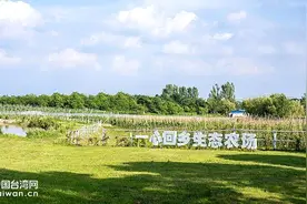 母女接力 回乡种地 台胞把武汉生态农业模式“复刻”到全国图片