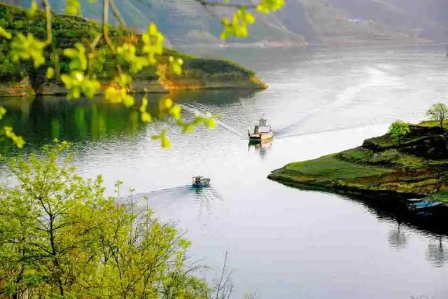 季节限定！洛阳些“海”人少景美，快出发！