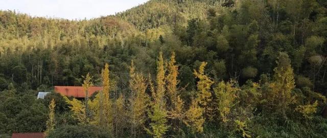 向云端，17分钟，这条云端索道全攻略来啦！