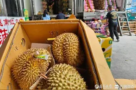 榴莲自由倒计时！批发价比3月初已腰斩，零售价下旬或跌破20元图片