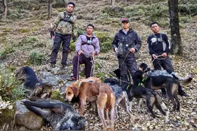 揭秘野猪猎捕队：“职业猎人”月薪过万元，飞手、机油手各司其职 有团队一年投入百万元图片